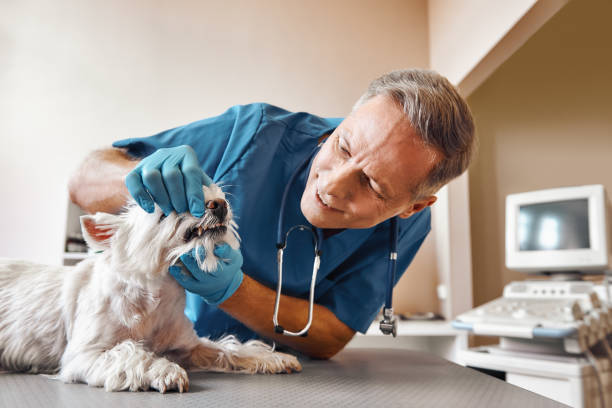 Best Dentist for Tooth Abscess  in Fate, TX